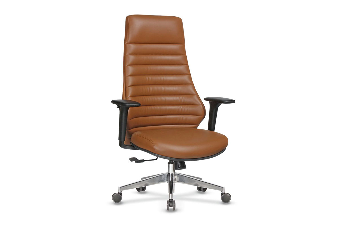 CANVAS 30